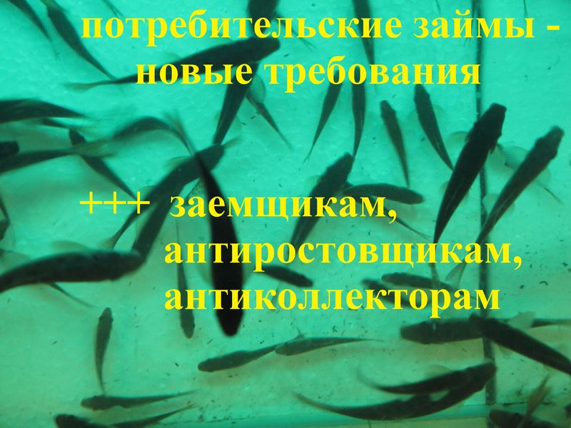Новые правила по потребительским кредитам (займам): в копилку для борьбы заемщиков с кредиторами (банками, ростовщиками) и коллекторами